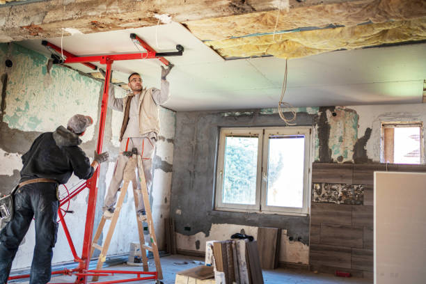 Best Types of Insulation in Lonville, GA