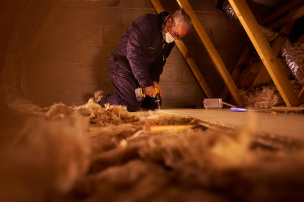 Best Insulation Installation Services in Lonville, GA